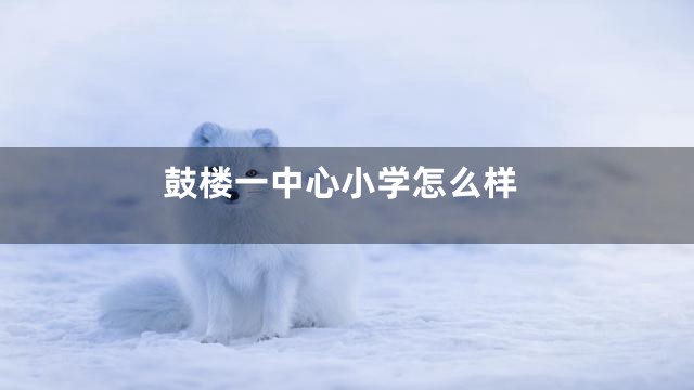 鼓楼一中心小学怎么样
