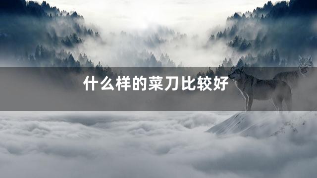 什么样的菜刀比较好