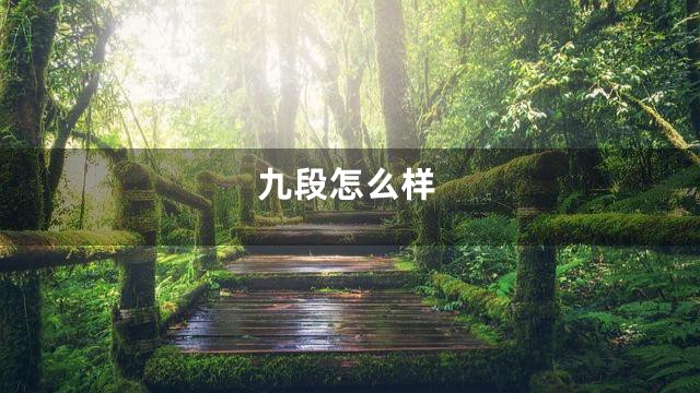 九段怎么样