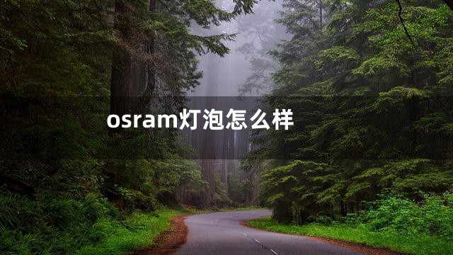 osram灯泡怎么样