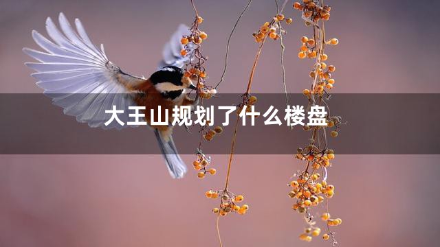 大王山规划了什么楼盘