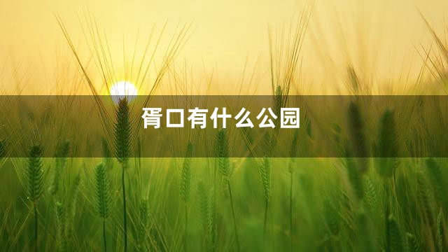 胥口有什么公园