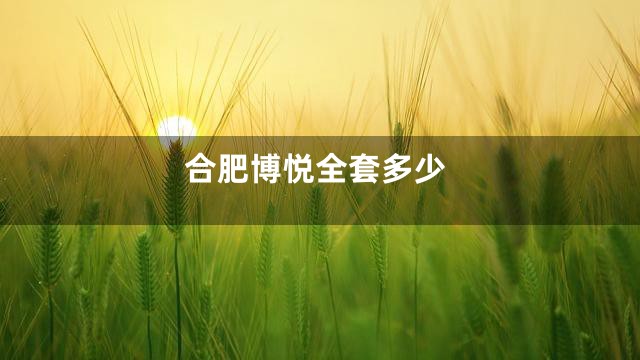 合肥博悦全套多少