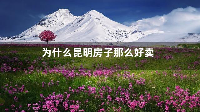 为什么昆明房子那么好卖