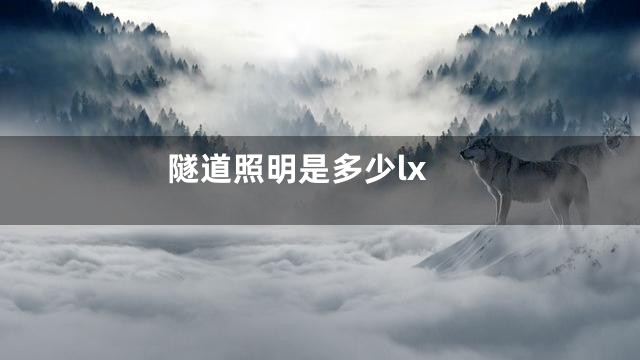 隧道照明是多少lx