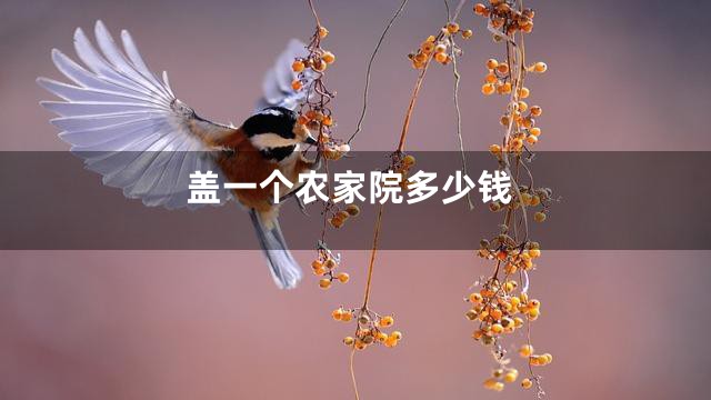 盖一个农家院多少钱