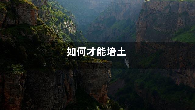 如何才能培土