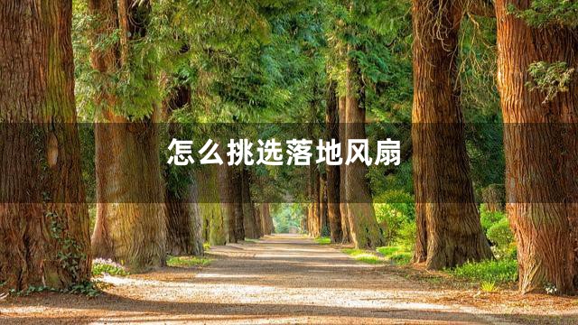 怎么挑选落地风扇