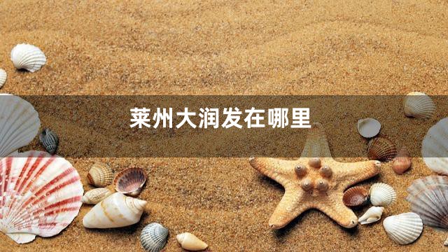 莱州大润发在哪里