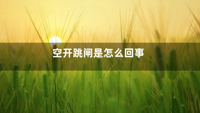 空开跳闸是怎么回事