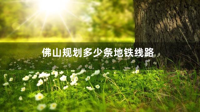 佛山规划多少条地铁线路