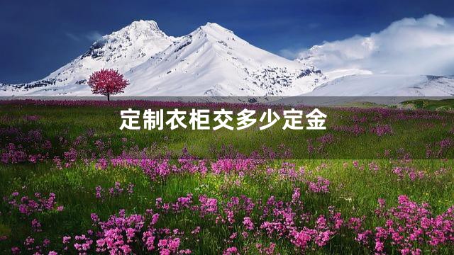定制衣柜交多少定金
