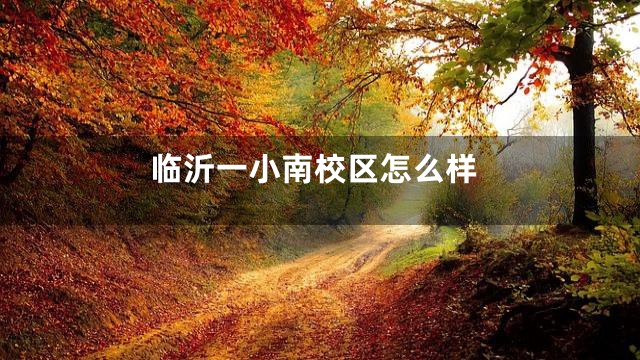 临沂一小南校区怎么样
