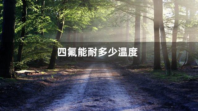 四氟能耐多少温度