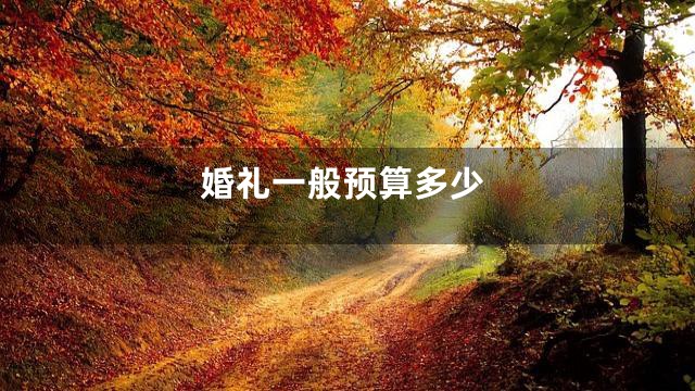 婚礼一般预算多少