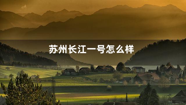苏州长江一号怎么样