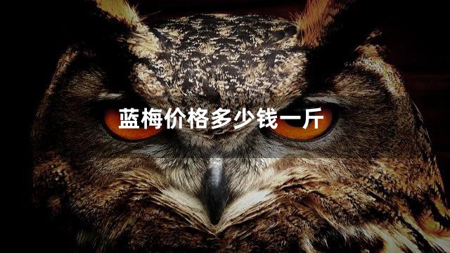 蓝梅价格多少钱一斤