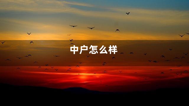 中户怎么样