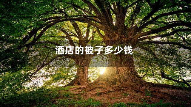 酒店的被子多少钱