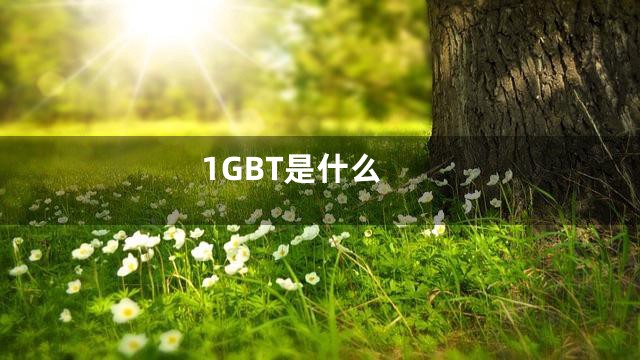 1GBT是什么