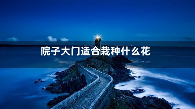 院子大门适合栽种什么花