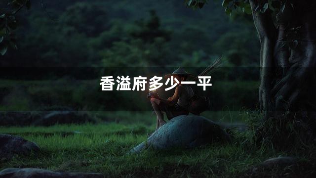 香溢府多少一平