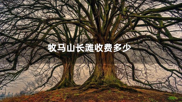 牧马山长滩收费多少