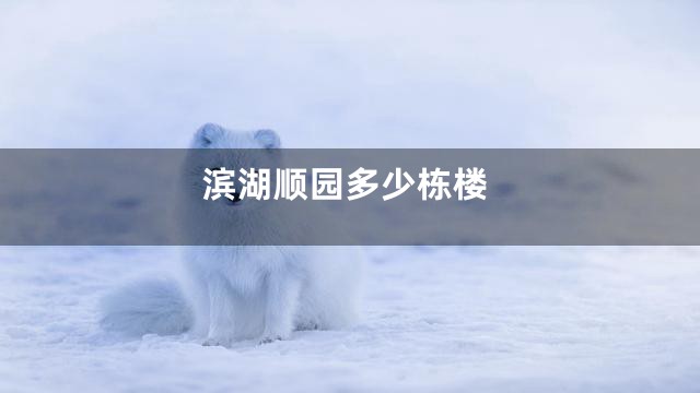 滨湖顺园多少栋楼