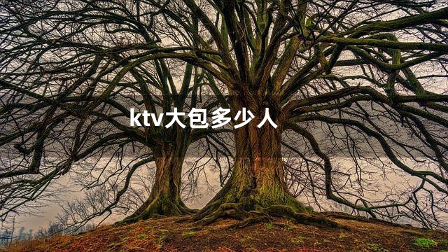 ktv大包多少人