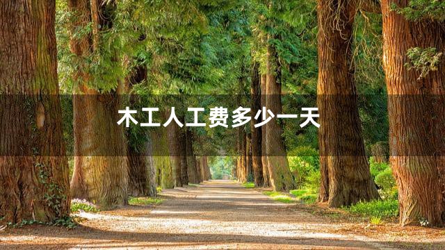 木工人工费多少一天
