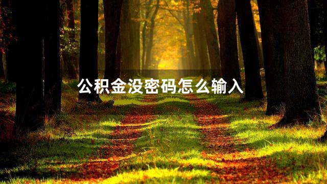 公积金没密码怎么输入