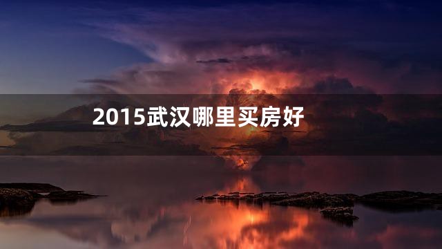 2015武汉哪里买房好