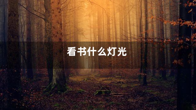 看书什么灯光