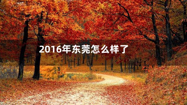 2016年东莞怎么样了