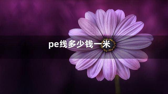 pe线多少钱一米