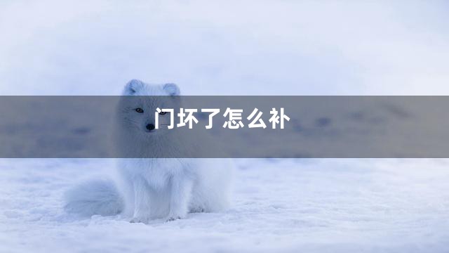 门坏了怎么补