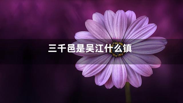 三千邑是吴江什么镇