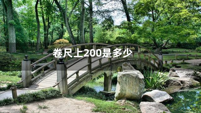 卷尺上200是多少