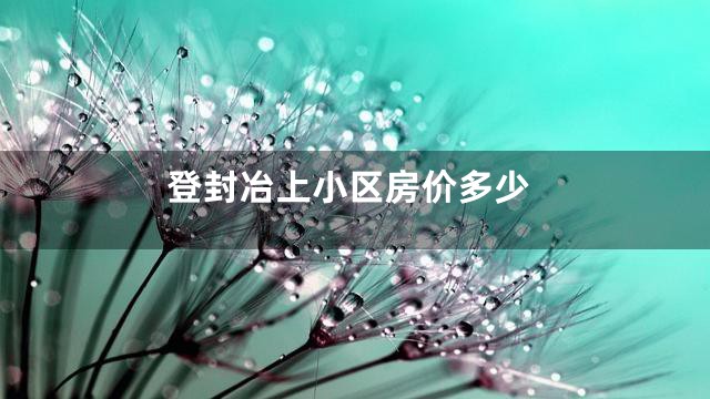 登封冶上小区房价多少