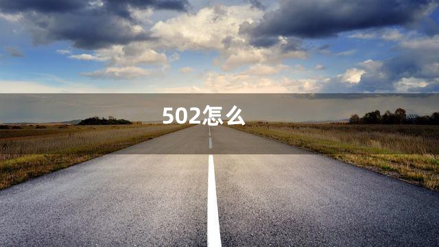 502怎么
