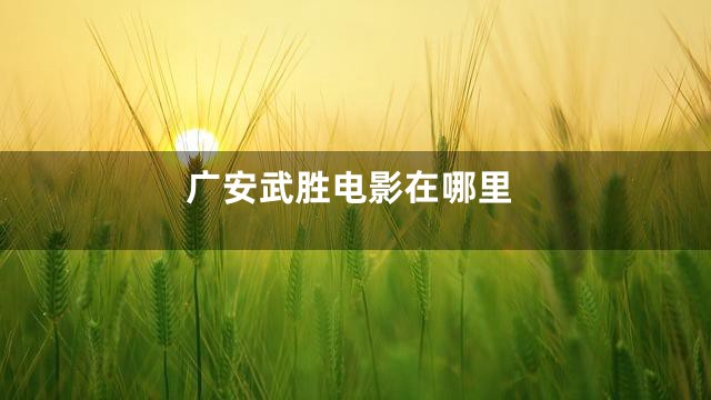 广安武胜电影在哪里