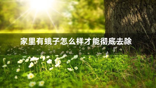 家里有蛾子怎么样才能彻底去除