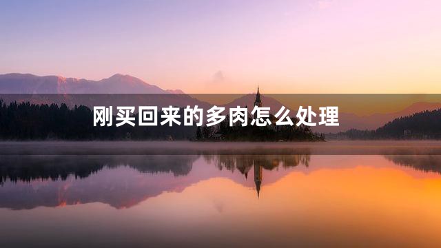 刚买回来的多肉怎么处理