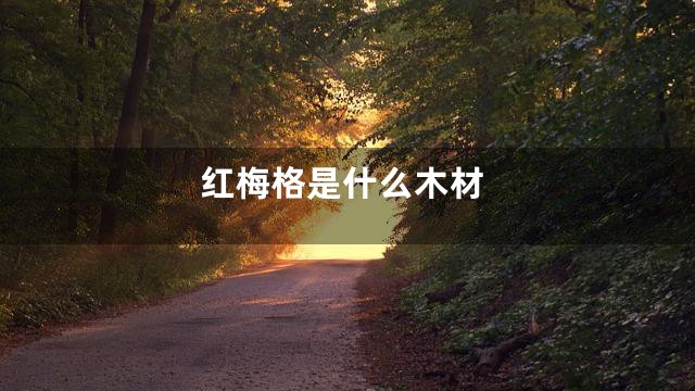 红梅格是什么木材