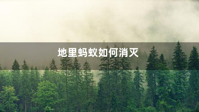 地里蚂蚁如何消灭