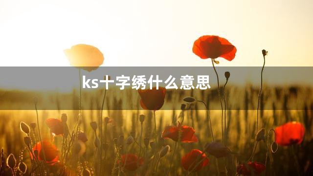 ks十字绣什么意思