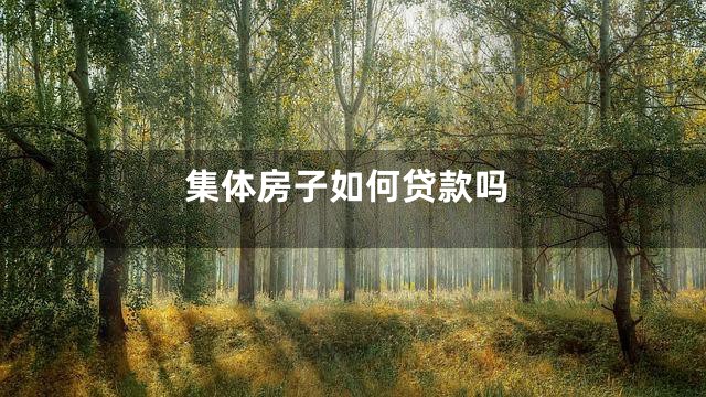 集体房子如何贷款吗