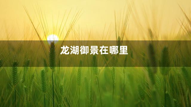 龙湖御景在哪里