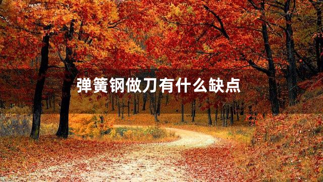 弹簧钢做刀有什么缺点