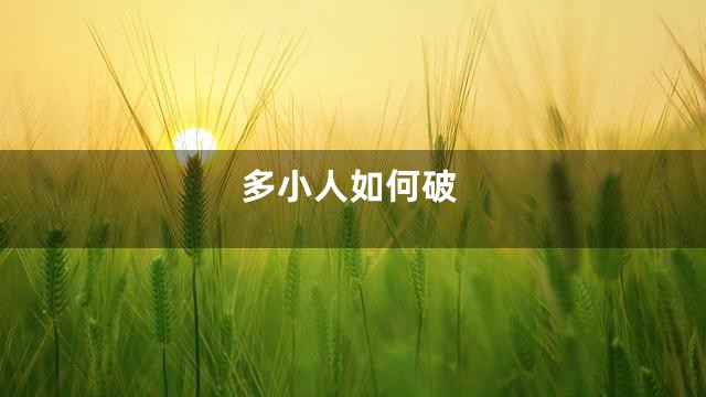 多小人如何破